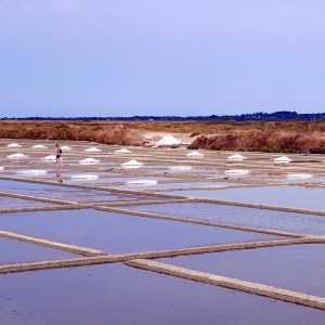 marais salin de Guérande