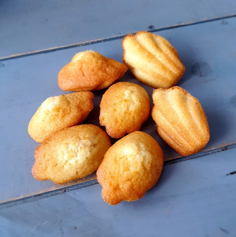 madeleines natures