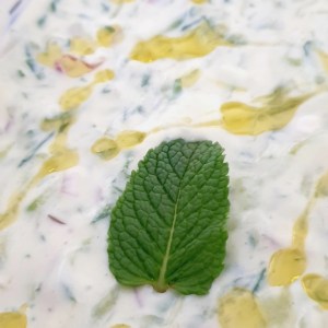 Tzatziki vegan et light