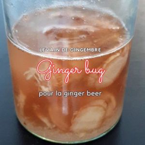 Ginger bug ou Levain de gingembre