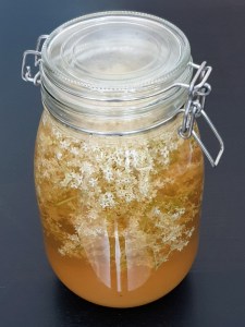 Vin de fleurs de sureau