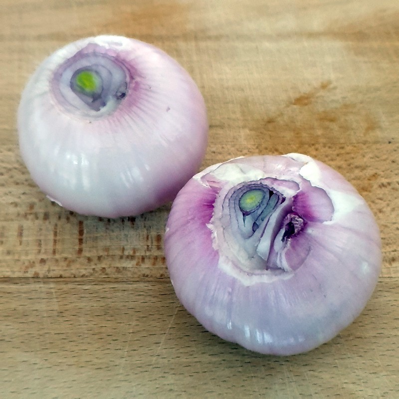 oignons roses de Roscoff