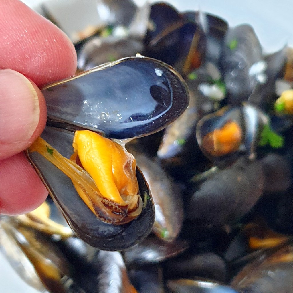 Moules marinières, dégustation