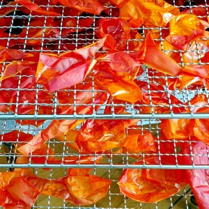 peaux de tomates après déshydratation