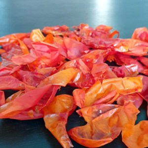 peaux de tomates déshydratées