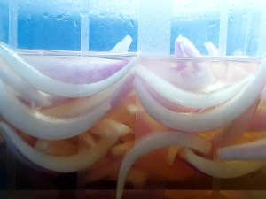 Pickles d'oignons de roscoff dans la saumure 123