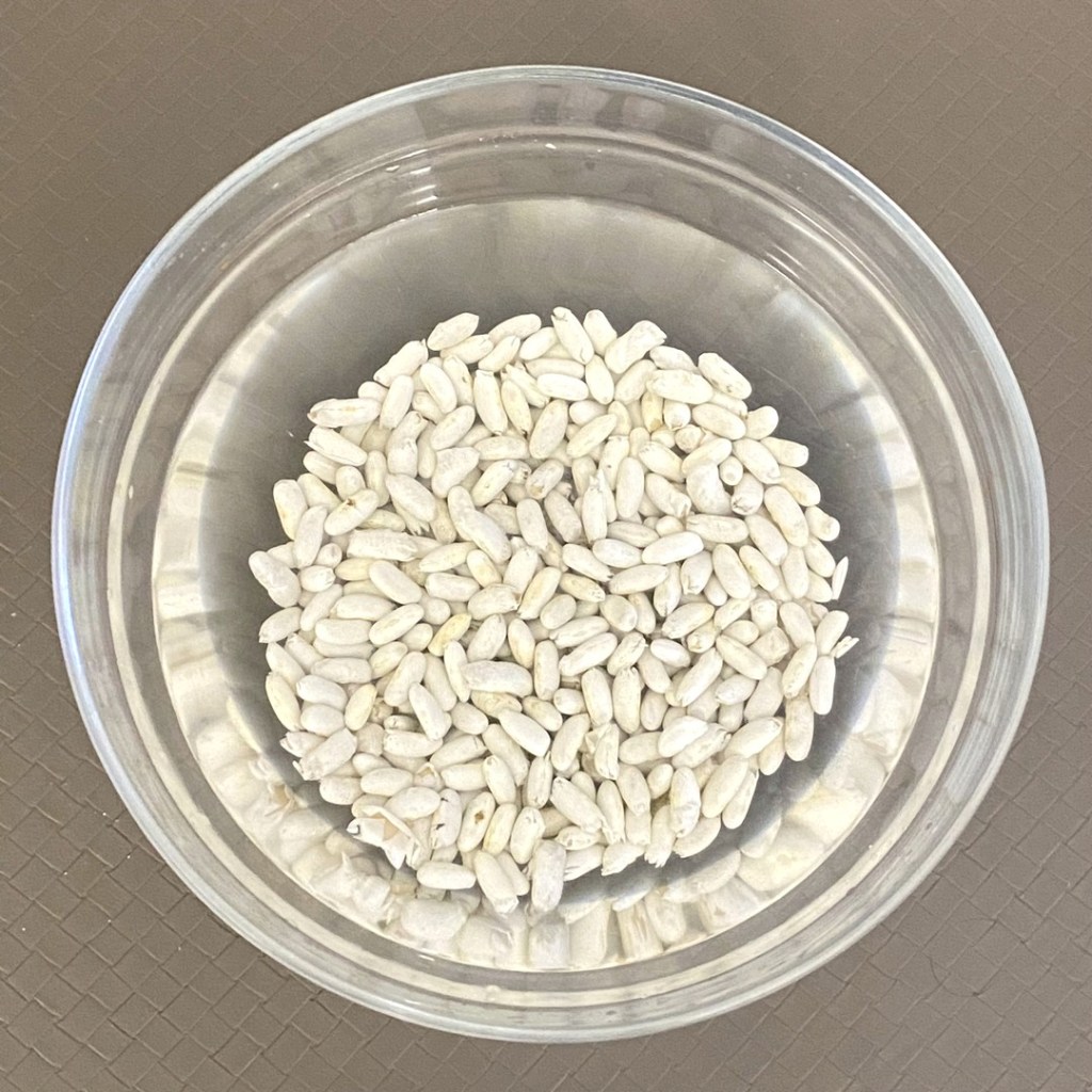 Haricots blancs en réhydratation