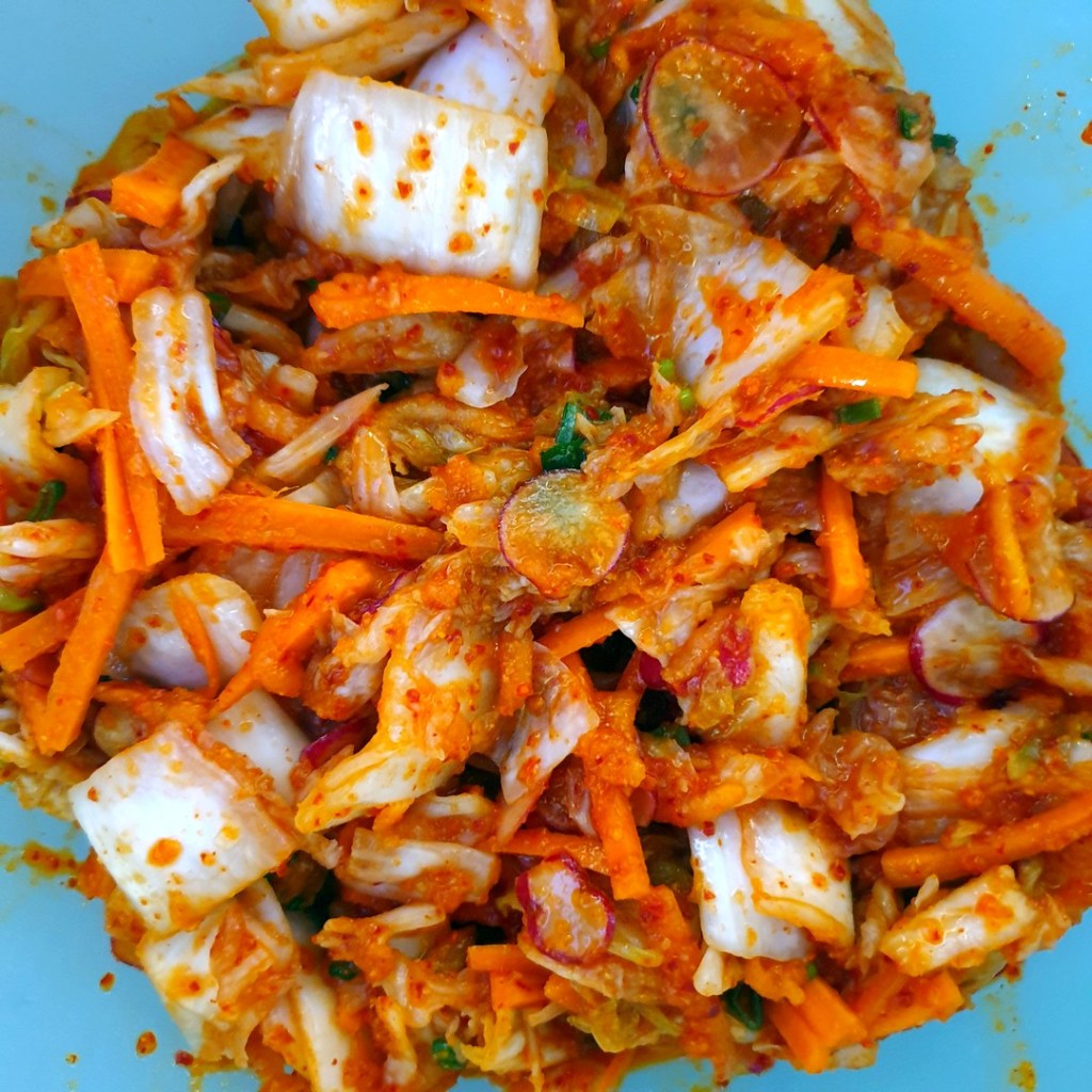 kimchi maison de chou chinois avant fermentation