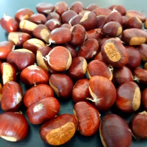 Chataîgnes "bouches rouges" d'Ardèche