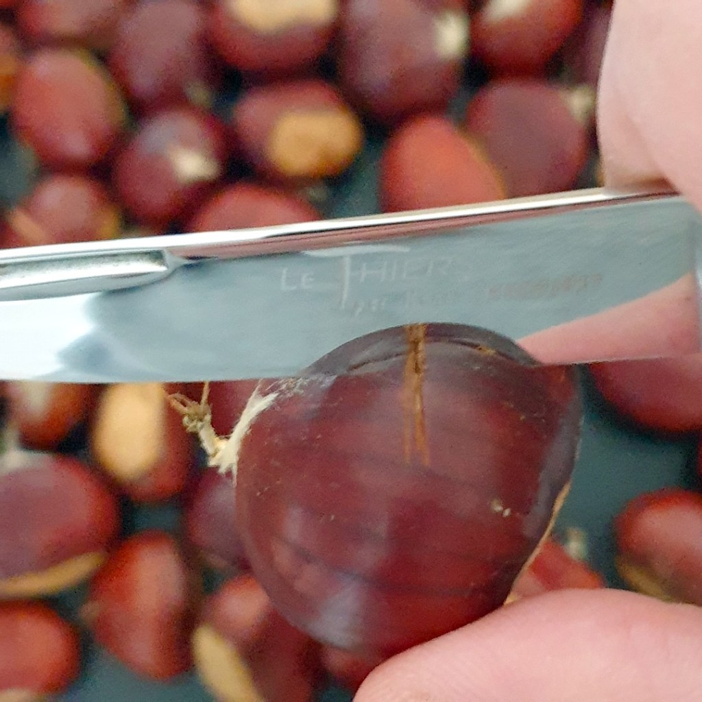 Incision des chataîgnes