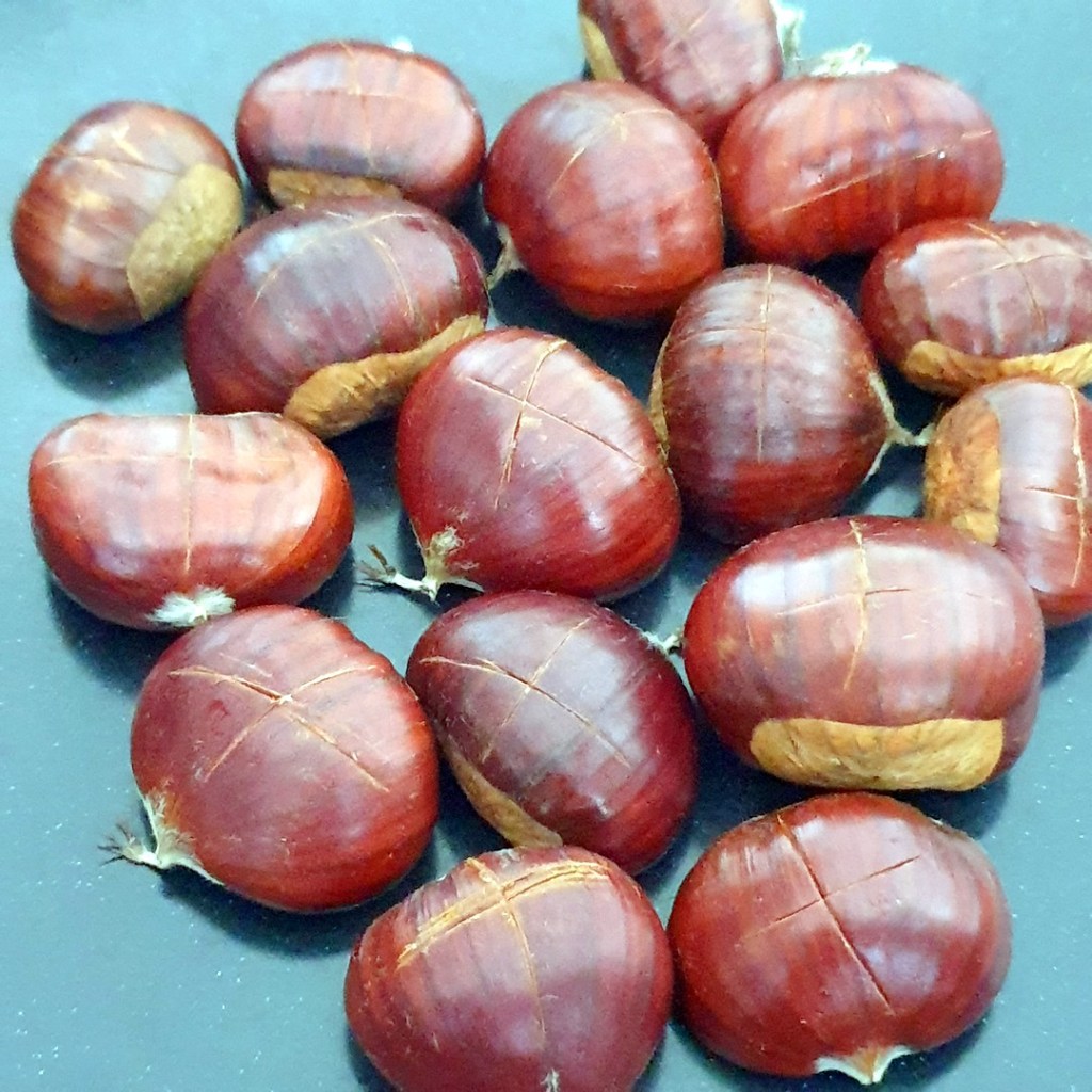 Incision des châtaignes