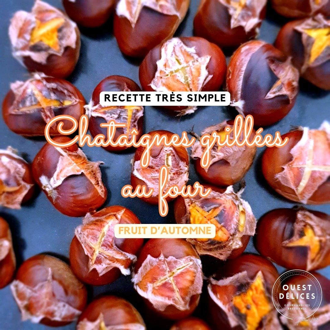 Gira Castaignes à Gaz Grille-châtaignes Rouleau Professionnel