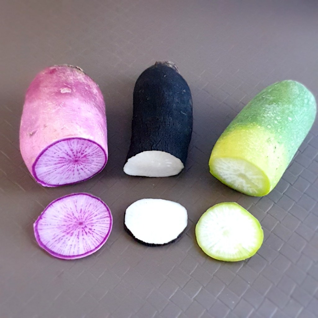 daïkon violet, daïkon vert, radis noir