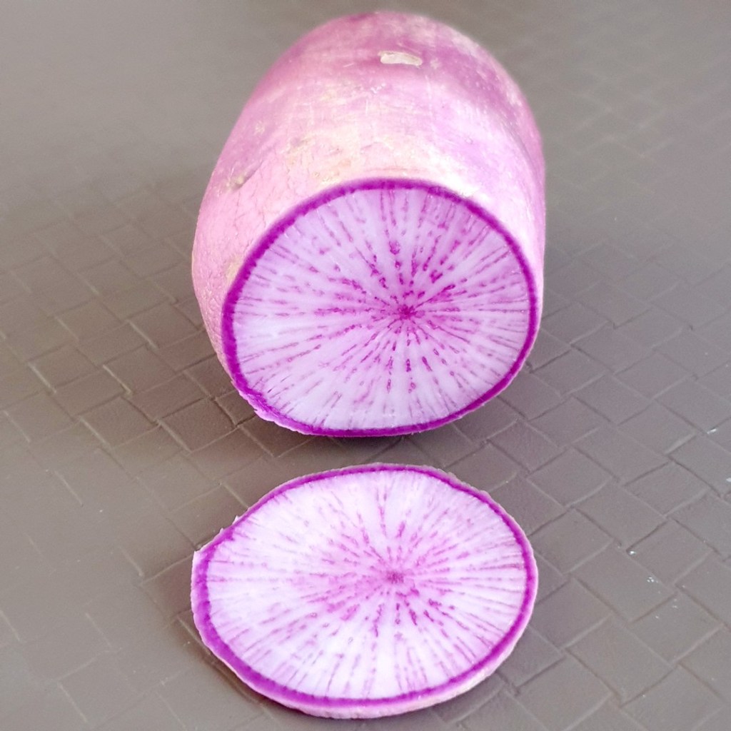 daïkon violet