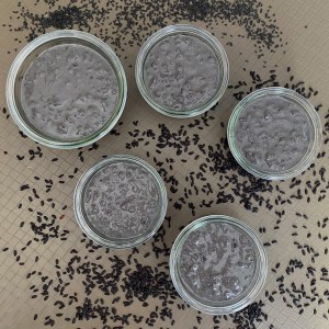 Petits pots de riz au lait noir