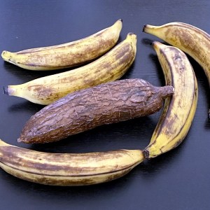 Foutou - banane plantain et manioc