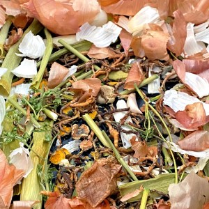 Légumes déshydratés pour préparation en poudre