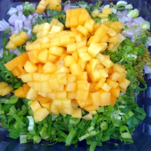 ceviche - préparation des condiments