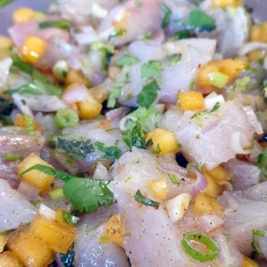 ceviche - assemblage final