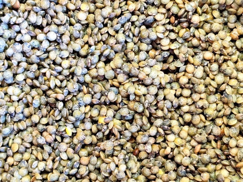 Les lentilles vertes de la Brie