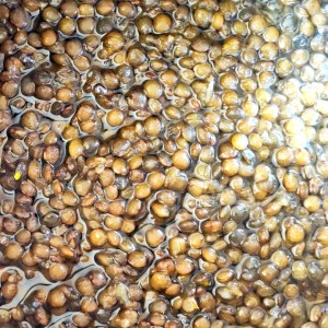 confiture lentilles vertes - confire