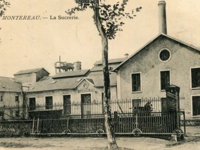 De la betterave au sucre : La sucrerie de Montereau