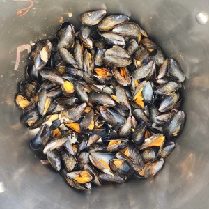 Moules gratinées - cuisson des moules