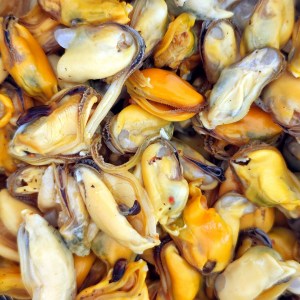 Moules gratinées - moules décortiquées